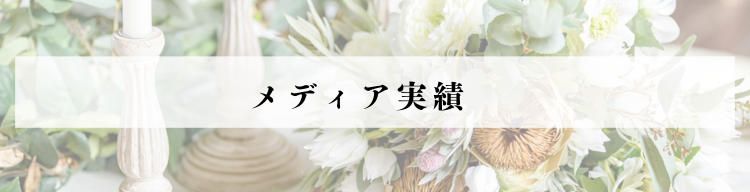 メディア実績